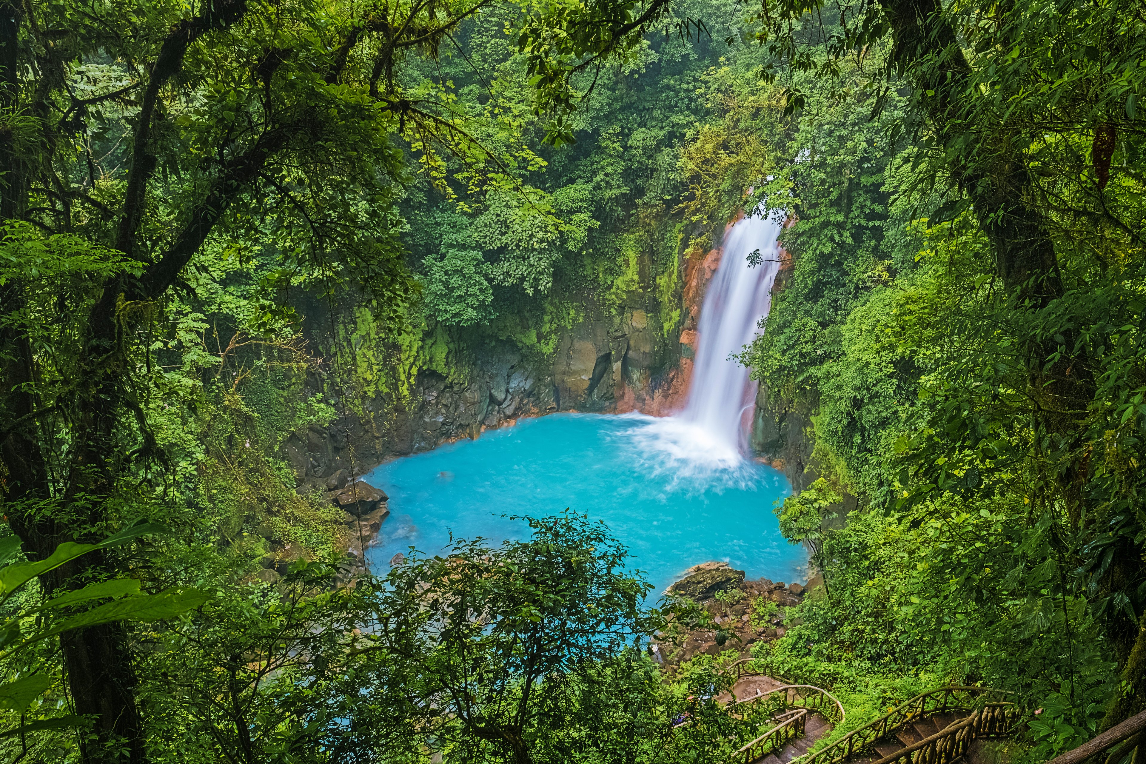 Monteverde image