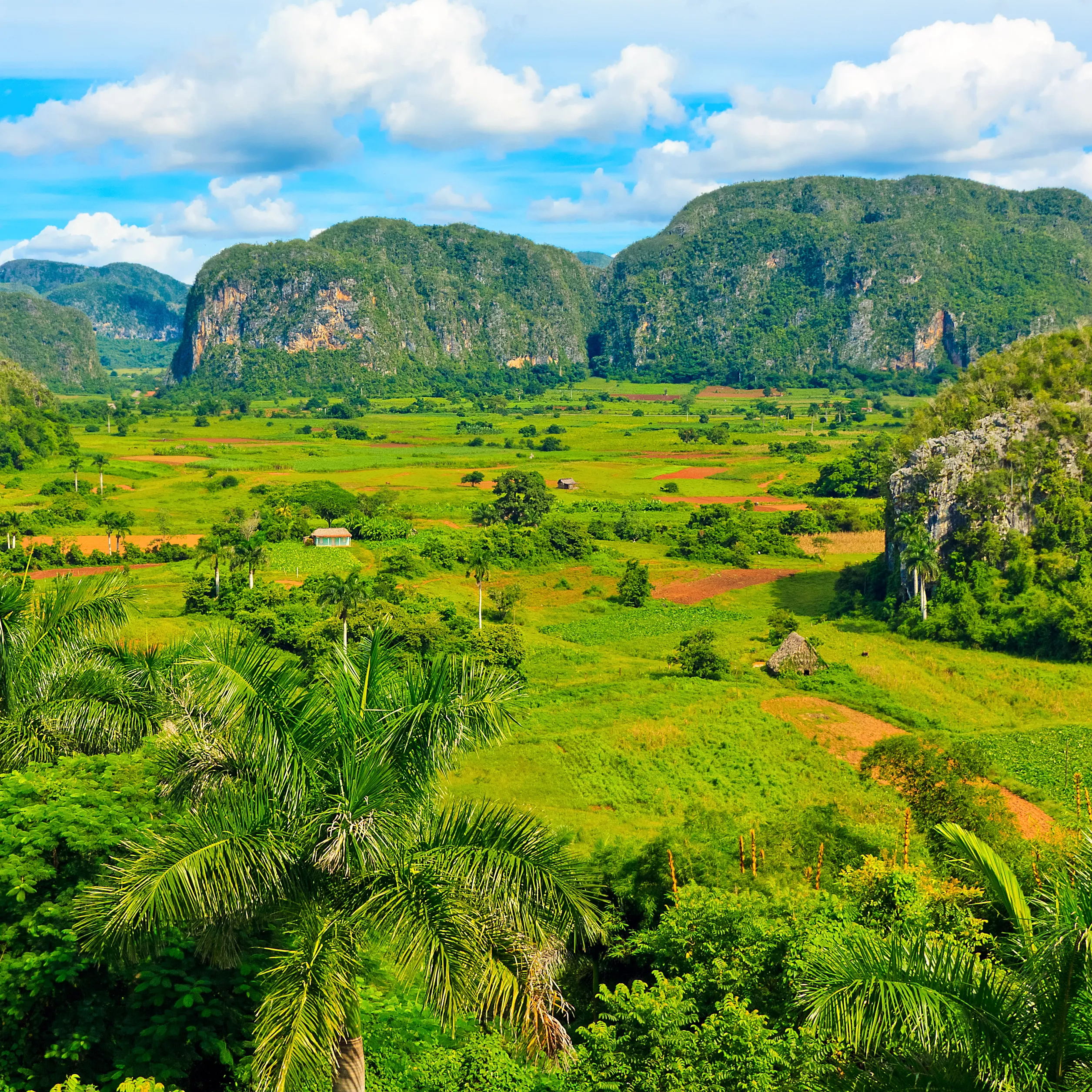 Viñales image