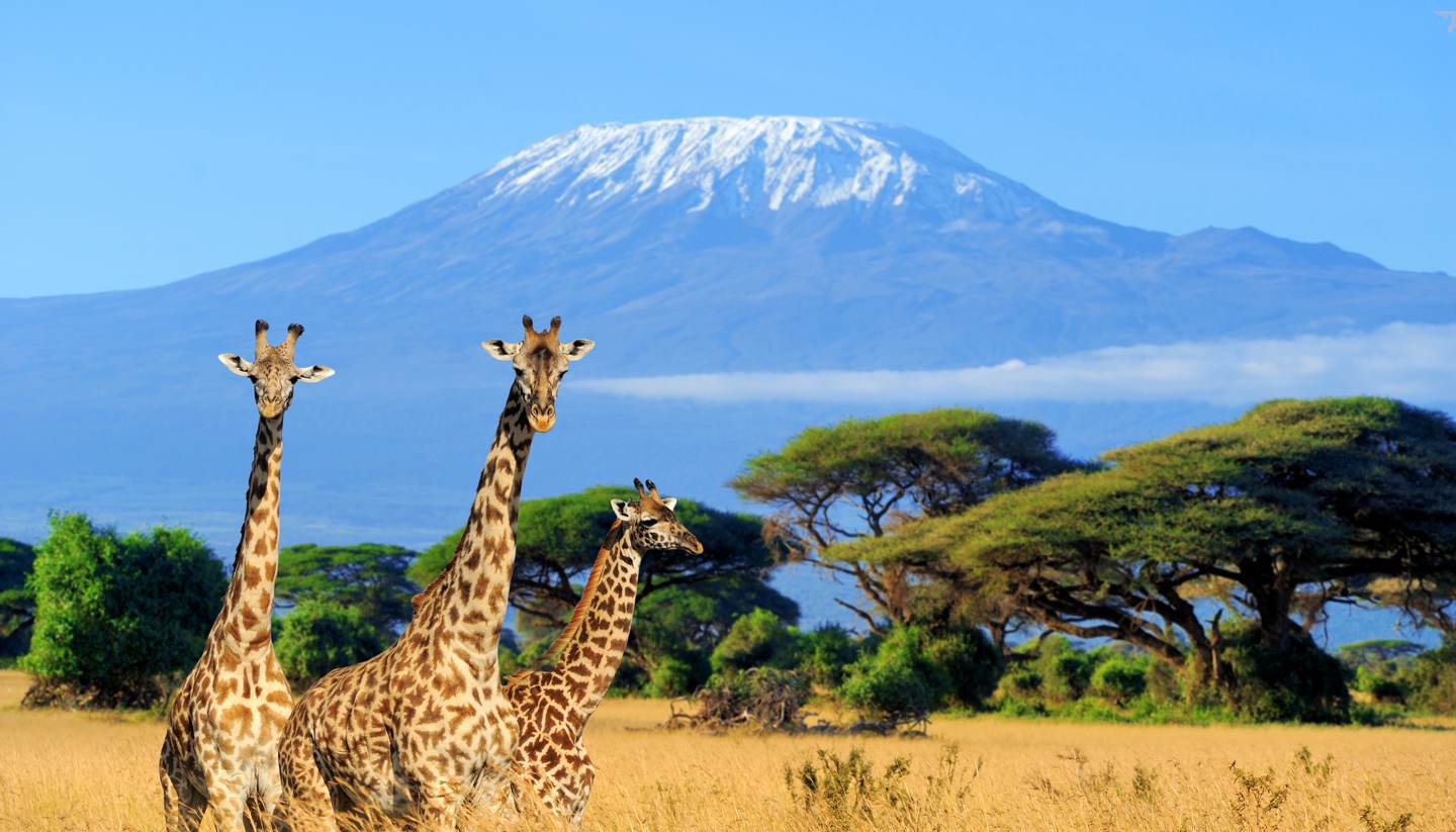 Amboseli National Park image