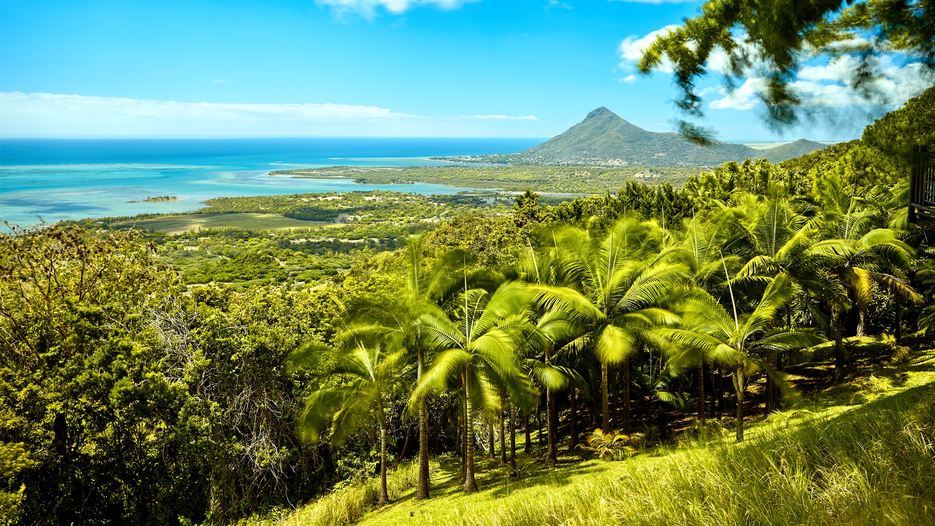 Curepipe image