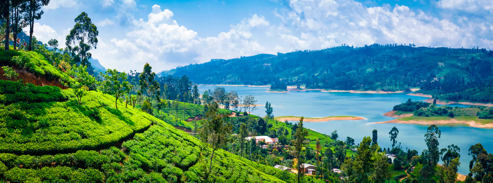 Nuwara Eliya image