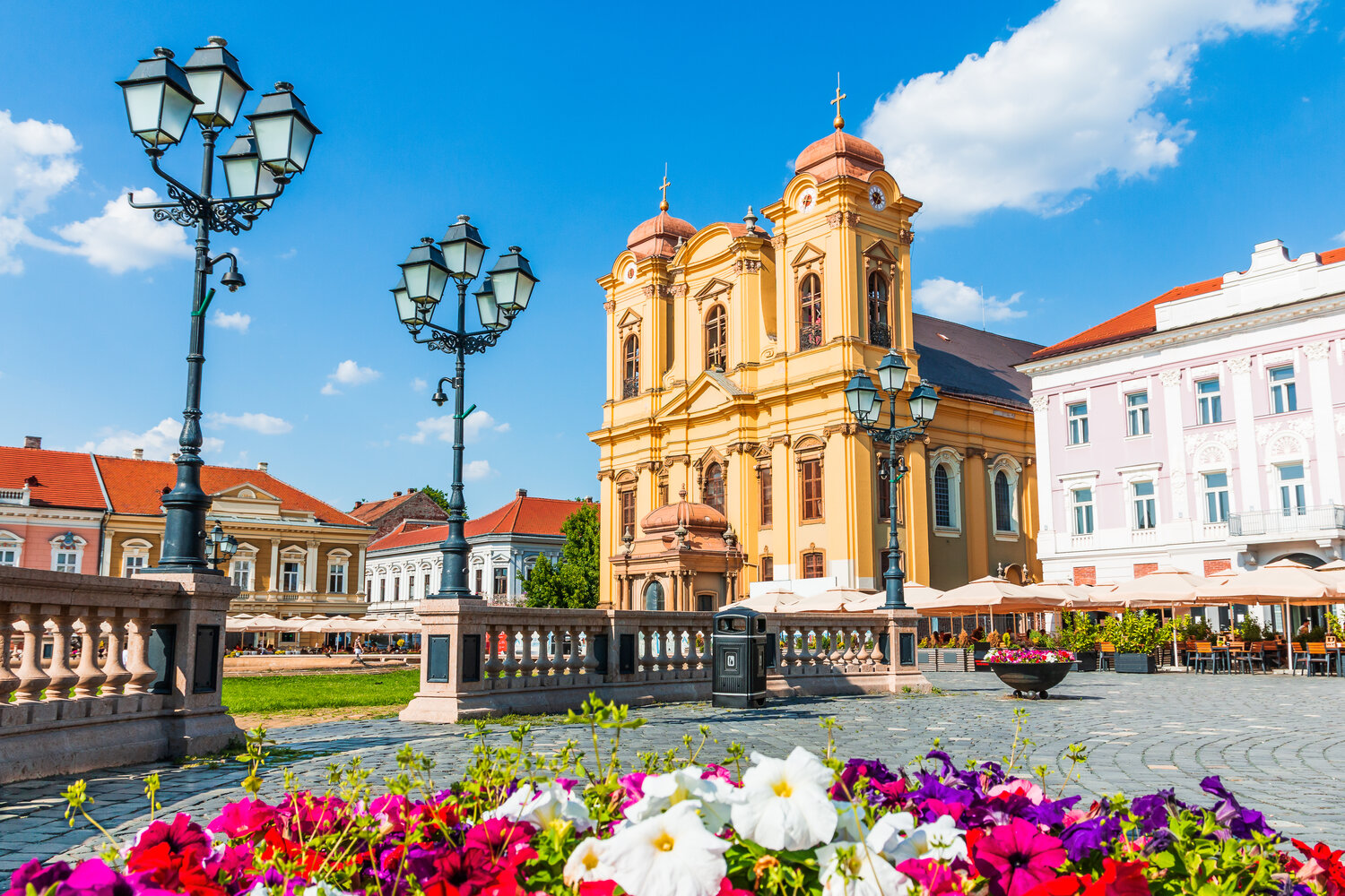 Timisoara image