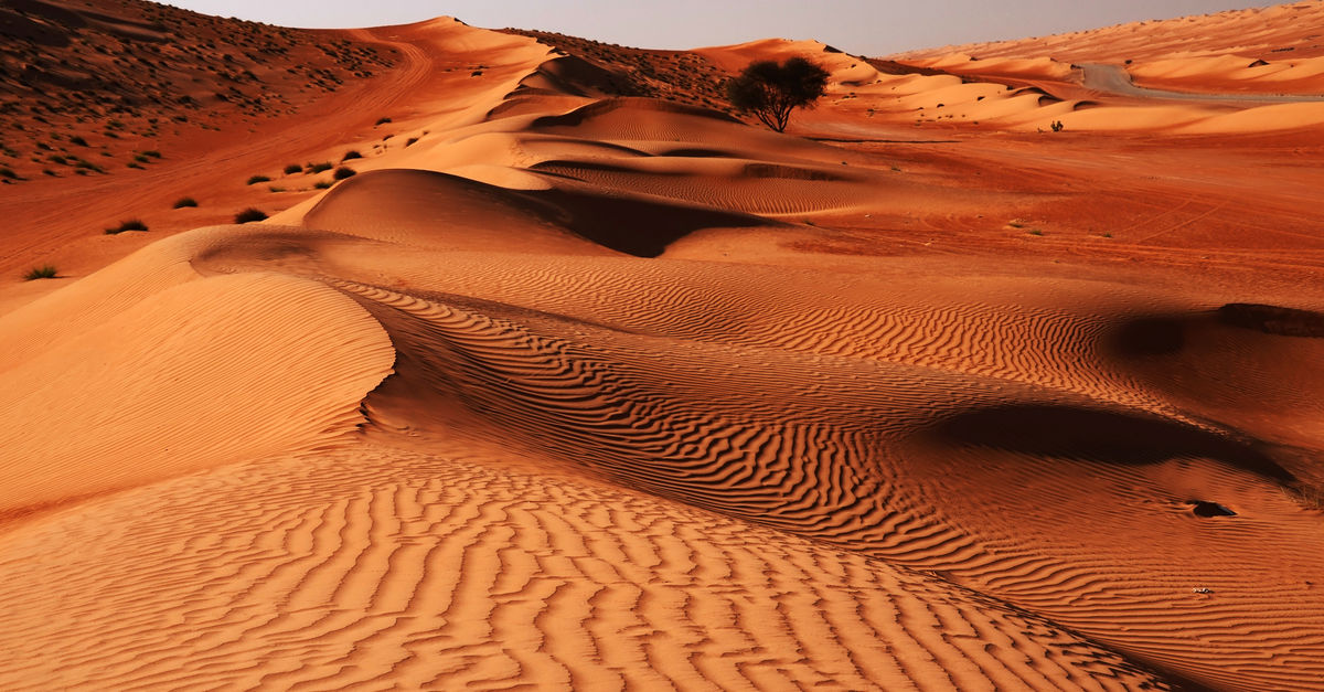 Wahiba Sands