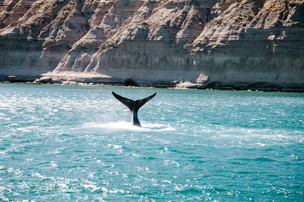Puerto Madryn