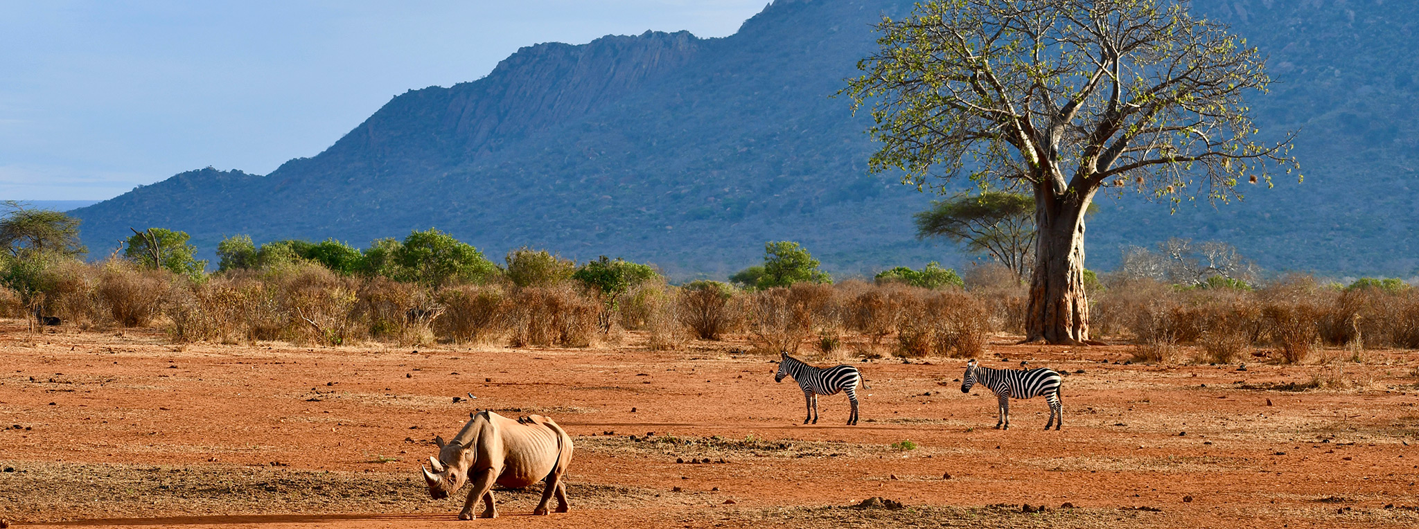 Tsavo National Park image